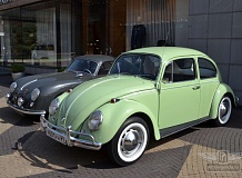   Volkswagen Beetle
