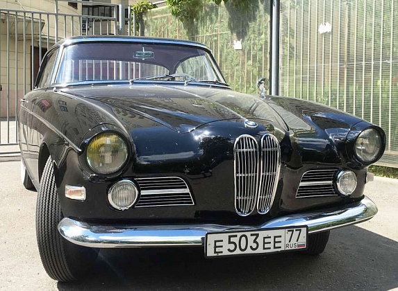   BMW 503 Coupe